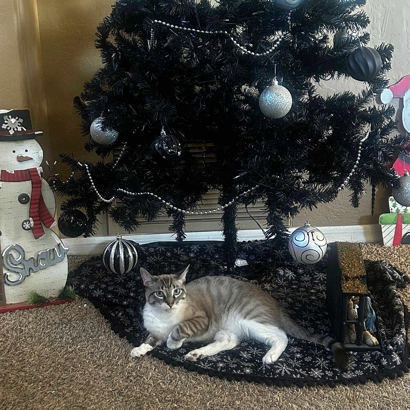 Arceus joined the competition — help win amazing prizes! bauble, beads, black_tree, carpet, cat, christmas_tree, garland, holiday_decor, indoor, living_room, lying_down, nativity_scene, ornament, pet, relaxed, silver_ornament, snowman, tabby_cat, tree_skirt, wall