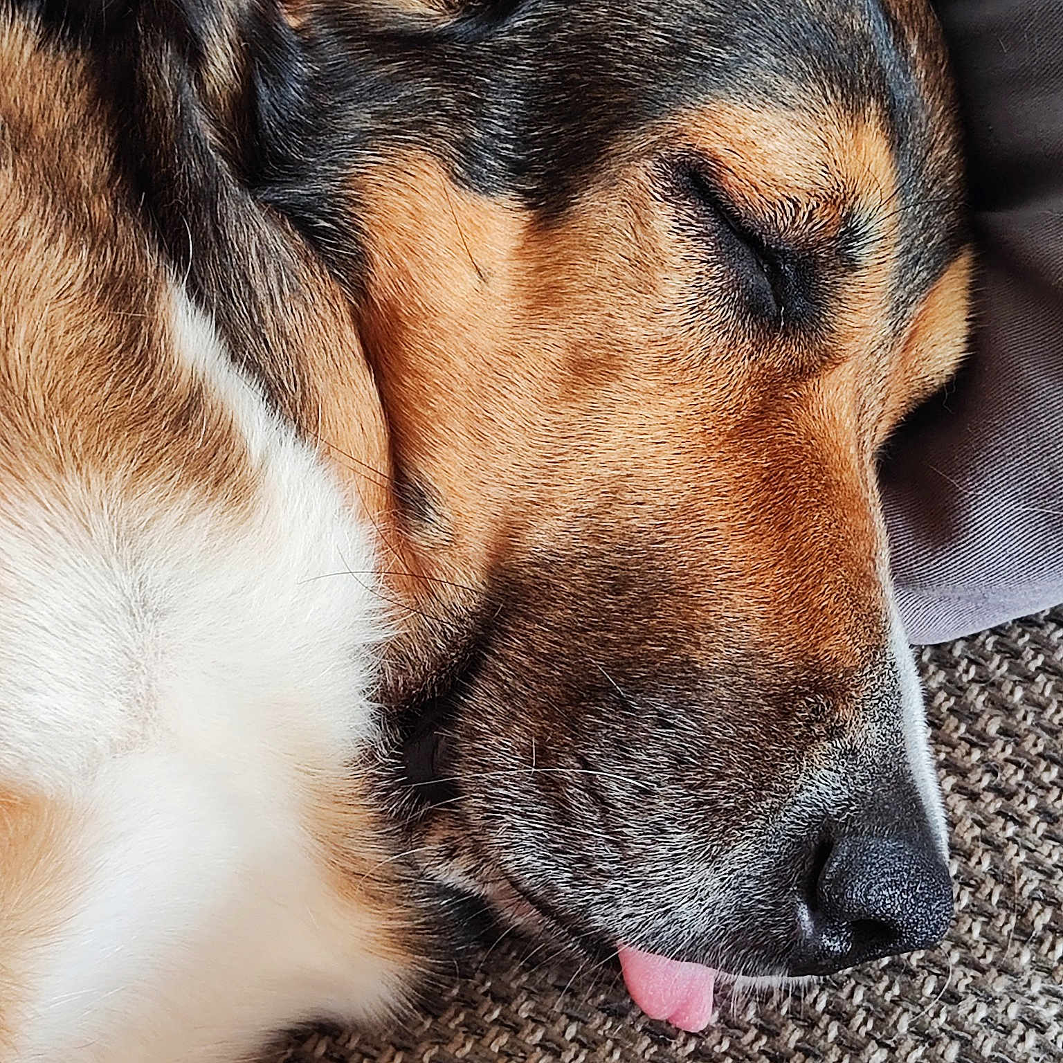 Maddy