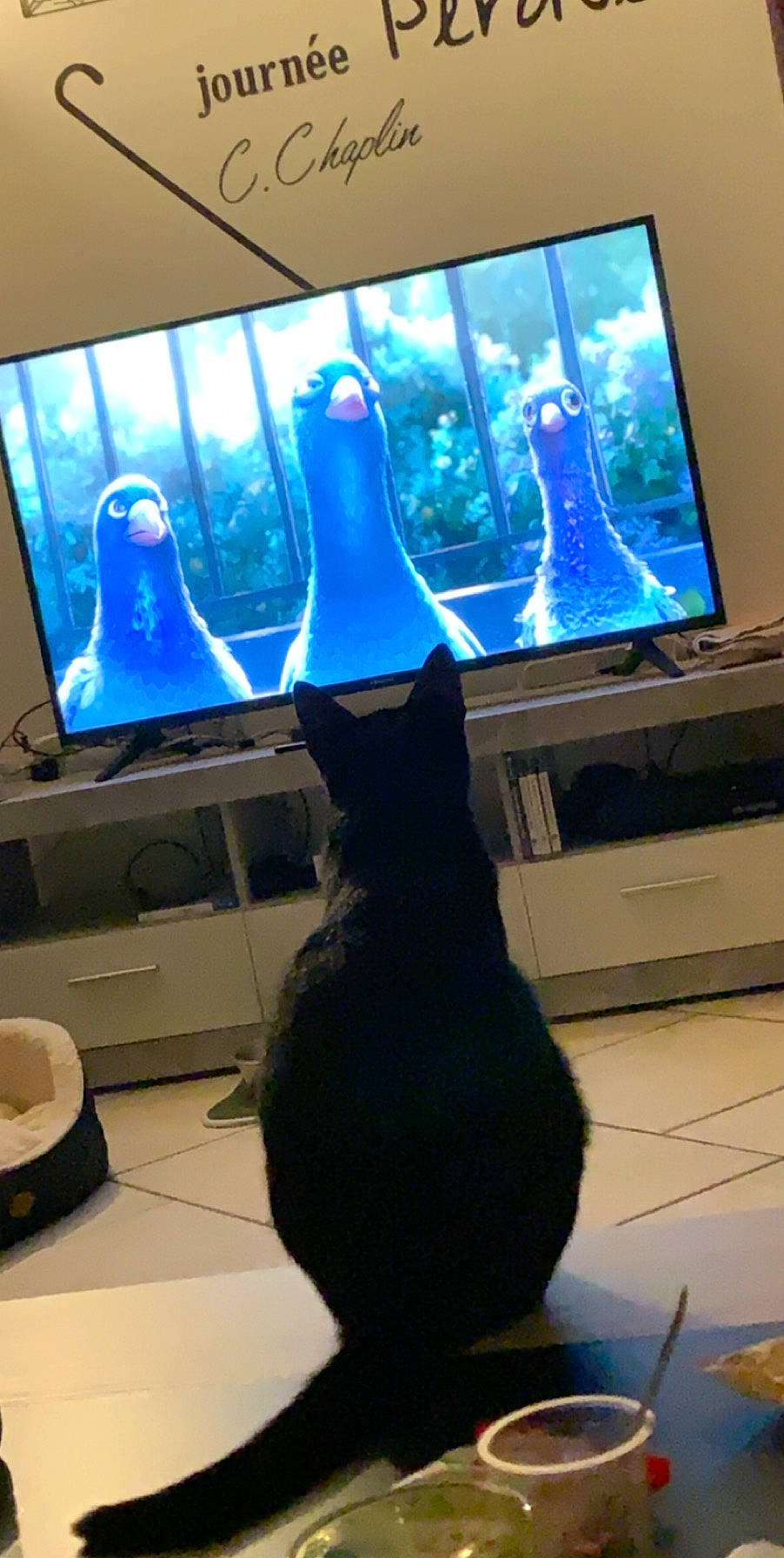 Pepette participe au concours pour gagner de l'argent avec cette photo : display_device, electronic_device, flat_panel_display, lcd_tv, lighting_accessory, screen, technology