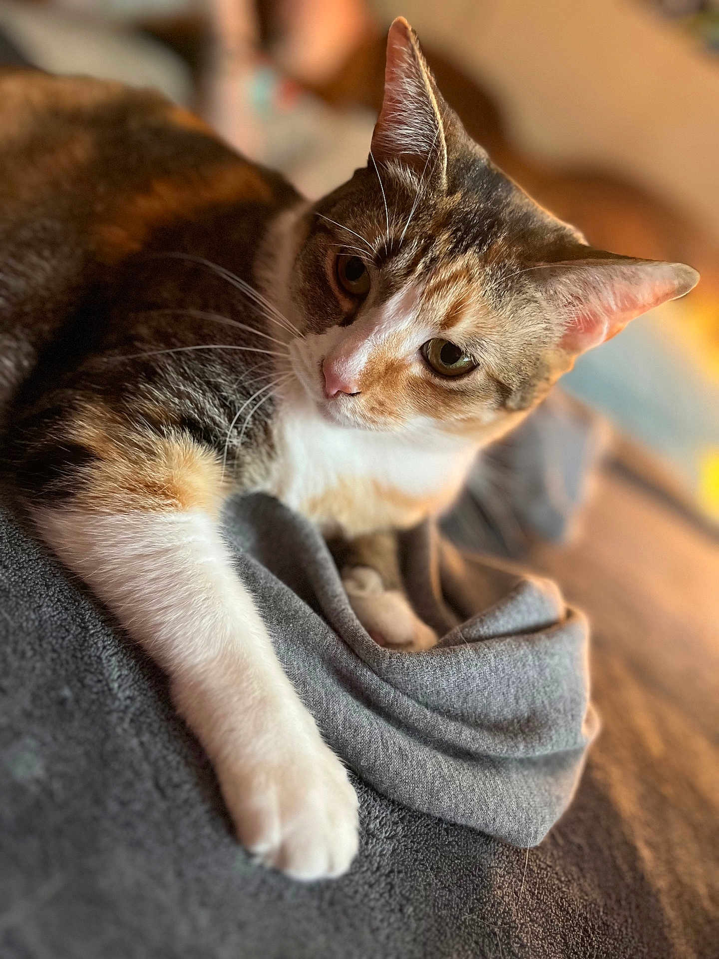 Bitzy