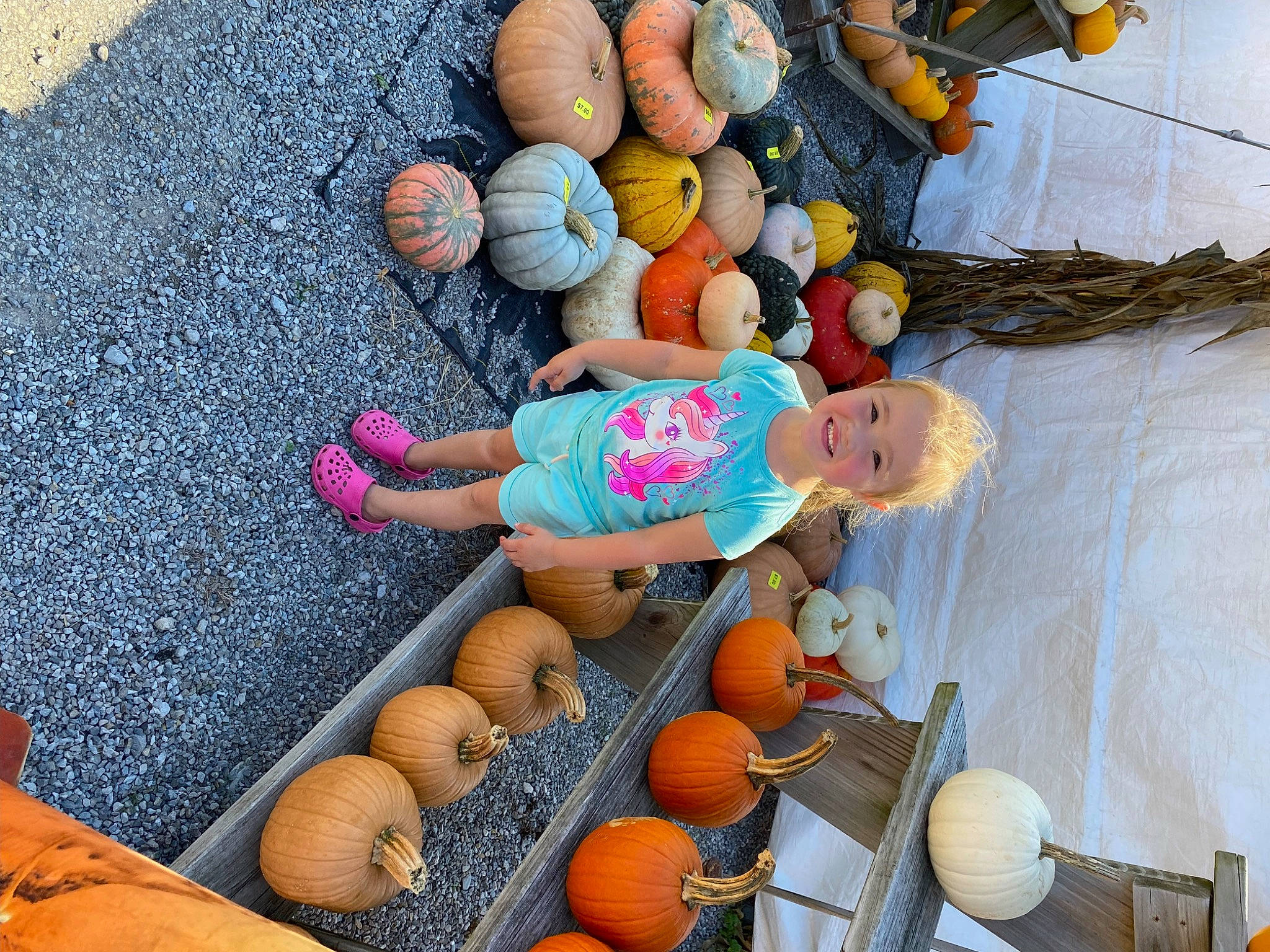 Emma Grace is registered to the contest to win money with this photo: _and_melon_family, _gourd, calabaza, cucumber, cucurbita, food, fruit, gourd, hat, human_body, joy, local_food, natural_foods, orange, peach, person, plant, pumpkin, sitting, squash
