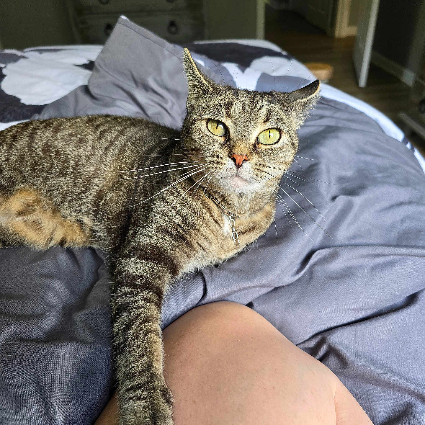 Nacho