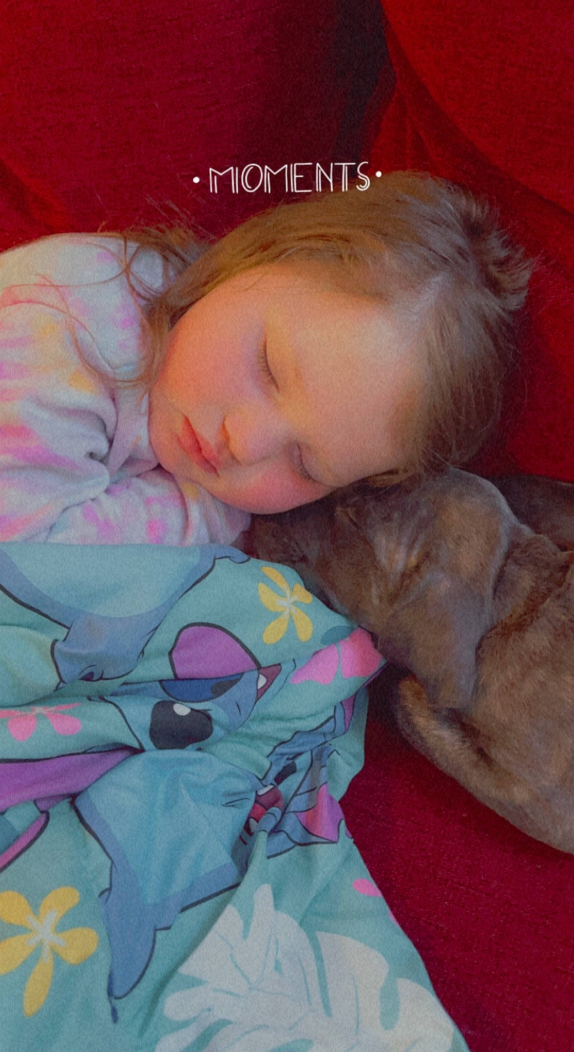 Jeweliana is registered to the contest to win money with this photo: baby, baby_products, baby_sleeping, bedding, bedtime, child, comfort, companion_dog, grass, happy, linens, mammal, nap, pattern, person, pink, room, sleep, textile, toddler