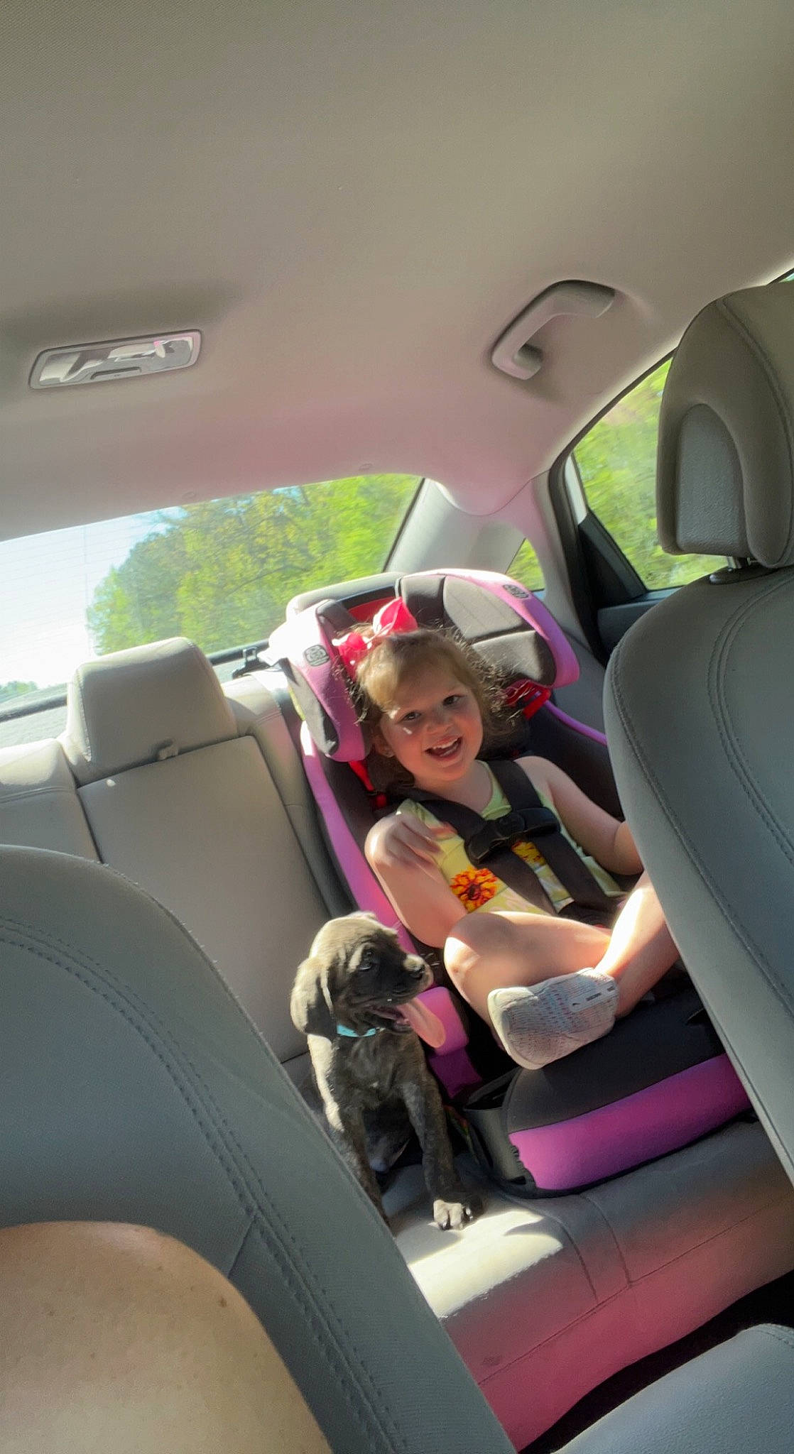 Jeweliana joined the competition — help win amazing prizes! automotive_design, automotive_exterior, car, car_seat, car_seat_cover, comfort, head_restraint, joy, land_vehicle, leg, mode_of_transport, motor_vehicle, person, personal_luxury_car, plant, seat_belt, smile, steering_part, steering_wheel, vehicle