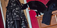 Knox joined the competition — help win amazing prizes! cat, black_and_white, collar, dresser, door, jacket, camouflage, coat_hook, red_wall, wooden_furniture, indoor, pet, feline, curious, sniffing, clothing, handle, room, domestic, domestic_cat