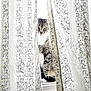 cat, tabby, curtain, lace_curtain, windowsill, window, pet, animal, feline, indoor, peeking, gray, white, sitting, curious, domestic_cat, close_up, soft_light, quiet, still_life