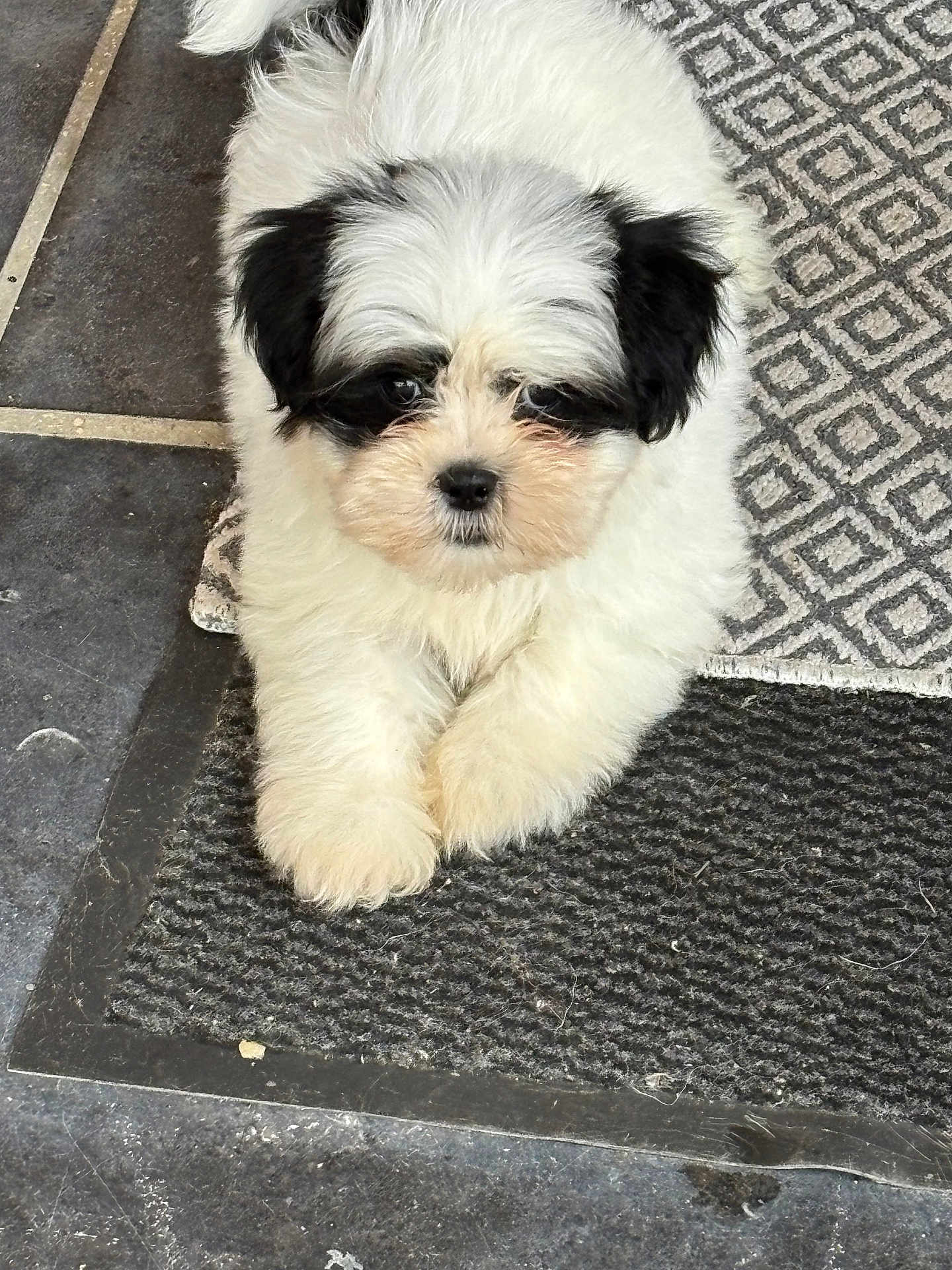 Ellie