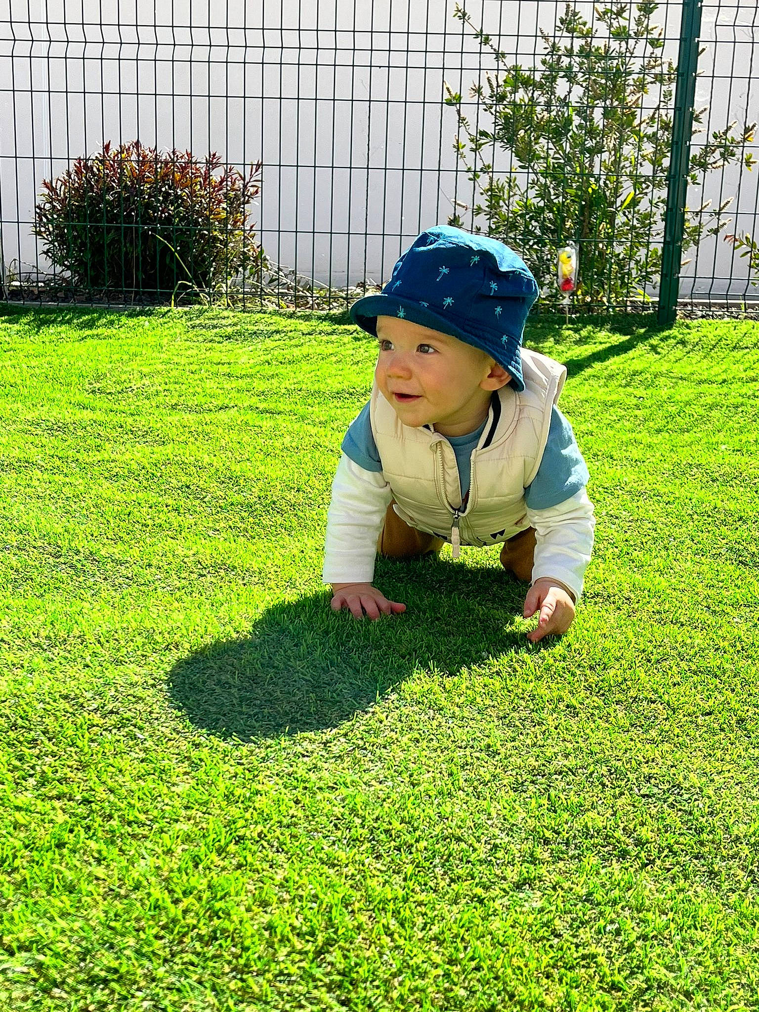 Luis participe au concours pour gagner de l'argent avec cette photo : baby_toddler_clothing, baseball_cap, botany, cap, fence, garden, grass, grass_family, grassland, groundcover, hat, headwear, landscape, landscaping, lawn, people_in_nature, person, plant, recreation, shrub
