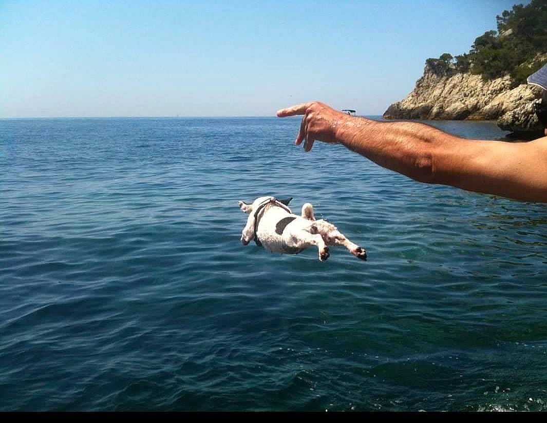 Padmé a rejoint le concours — aidez-le/la à gagner de superbes lots ! barechested, beach, coast, diving, fun, happy, horizon, lake, leisure, marine_mammal, ocean, people_in_nature, physical_fitness, recreation, rock, seabird, sky, water, wave, wind_wave