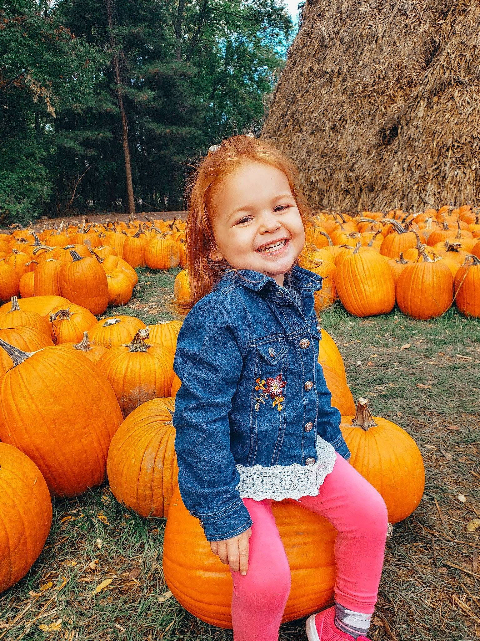 Charlie is registered to the contest to win money with this photo: _and_melon_family, _gourd, calabaza, child, cucumber, cucurbita, food, fruit, gourd, joy, local_food, orange, person, plant, produce, pumpkin, smile, squash, toddler, vegetable