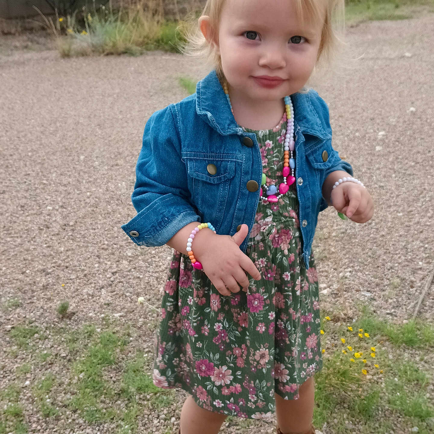 Lilya