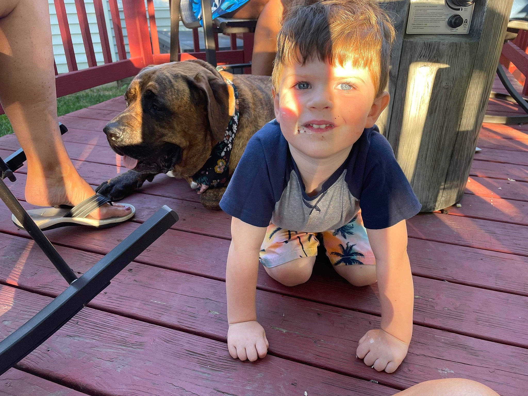 Eli joined the competition — help win amazing prizes! baby_toddler_clothing, child, companion_dog, dog, dog_breed, floor, flooring, foot, fun, happy, hardwood, human_leg, knee, leg, leisure, person, recreation, smile, thigh, toddler