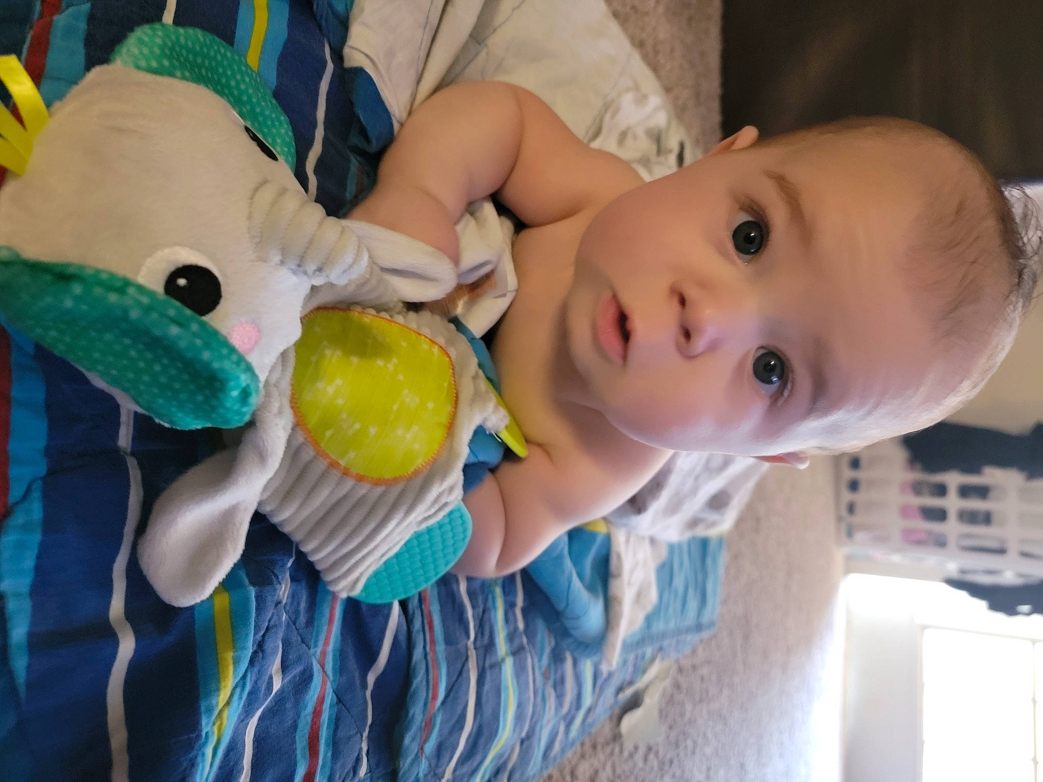 Jesse joined the competition — help win amazing prizes! baby, baby_products, baby_toddler_clothing, baby_toys, cheek, child, fun, happy, iris, leisure, nose, person, play, plush, room, skin, stuffed_toy, surprise, toddler, toy
