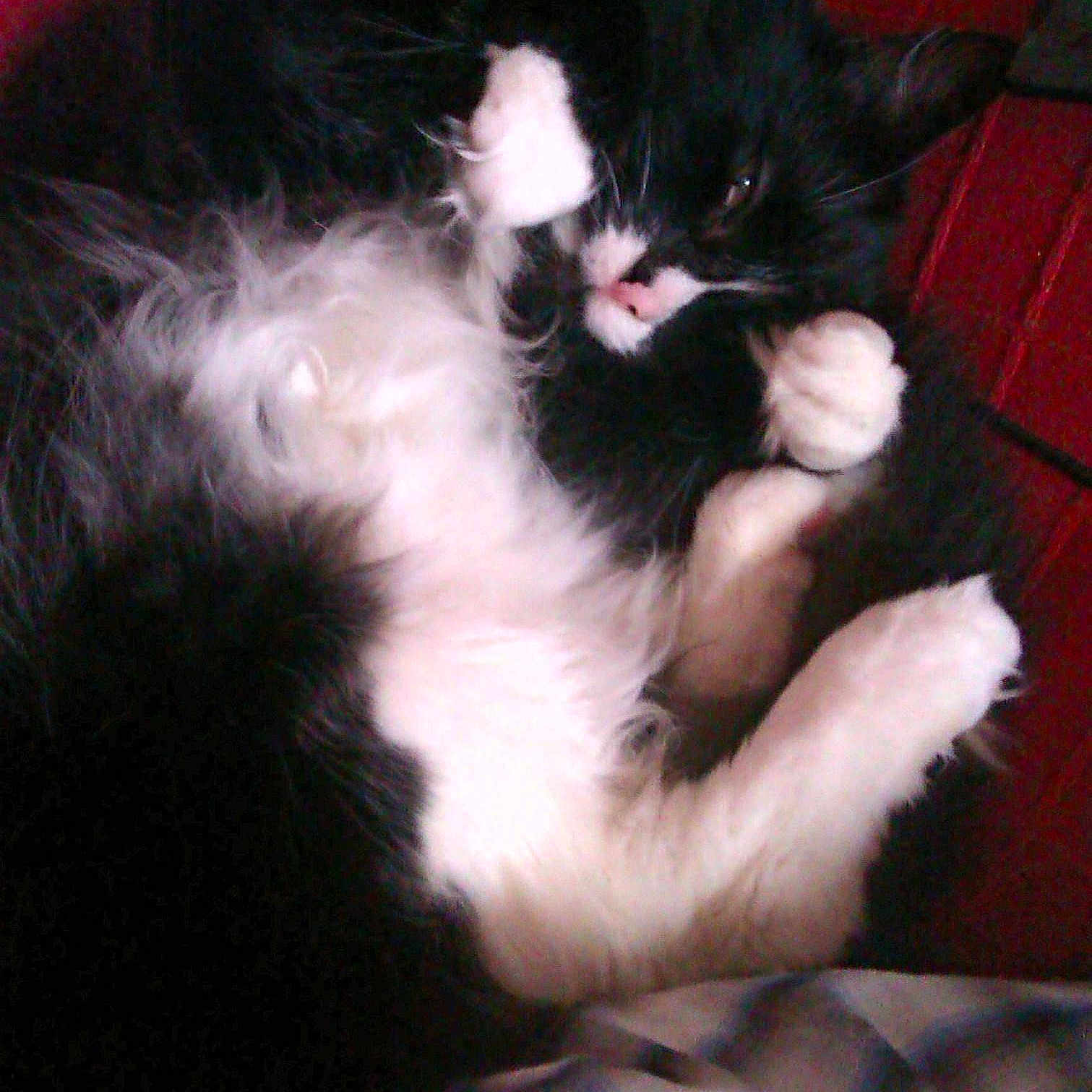 Oliver