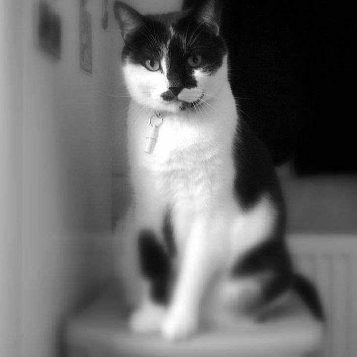 Eddie