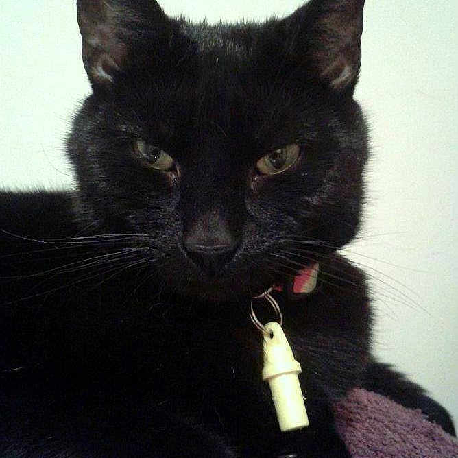 Megan joined the competition — help win amazing prizes!