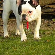 Hevean participe au concours pour gagner de l'argent avec cette photo :