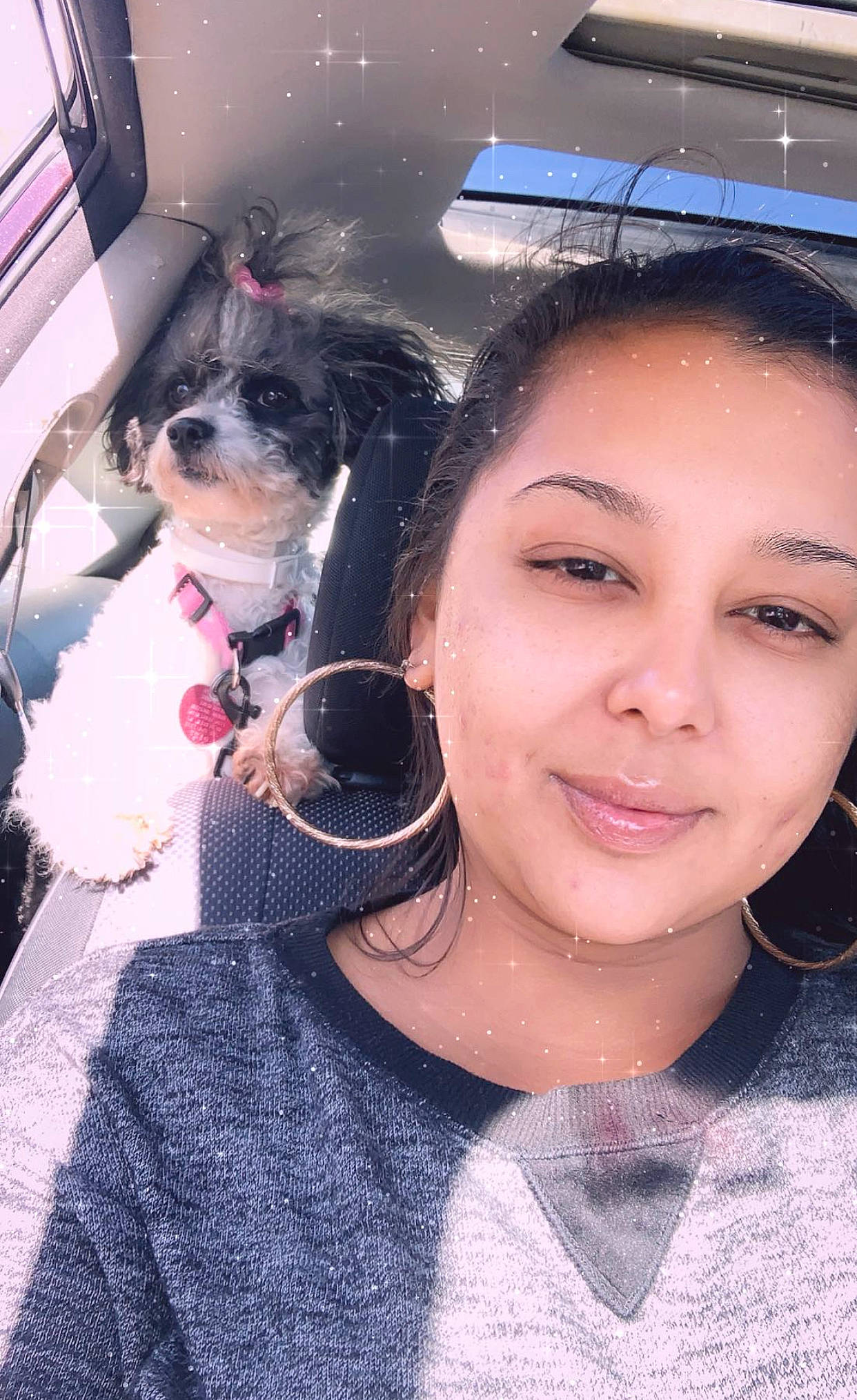 Tootie is registered to the contest to win money with this photo: black_hair, carnivore, companion_dog, dog, dog_breed, dog_collar, ear, earrings, eyelash, eyewear, fashion_accessory, formal_wear, fun, fur, happy, jewellery, lip, selfie, skin, smile