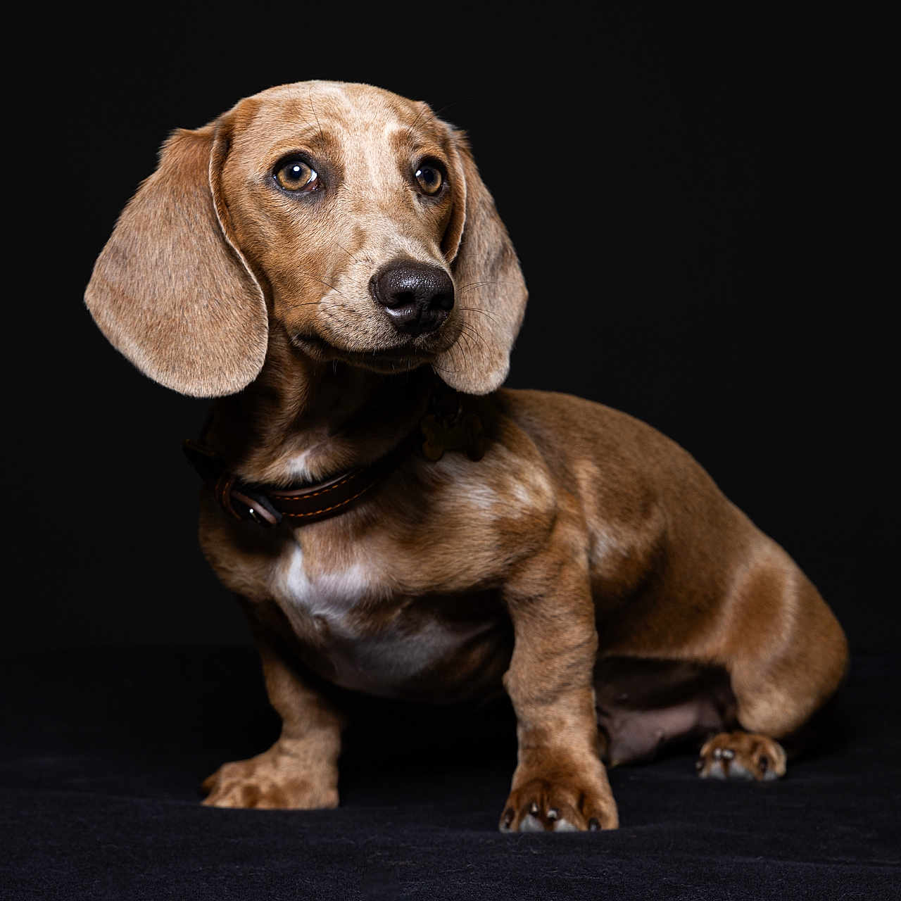 Enzo