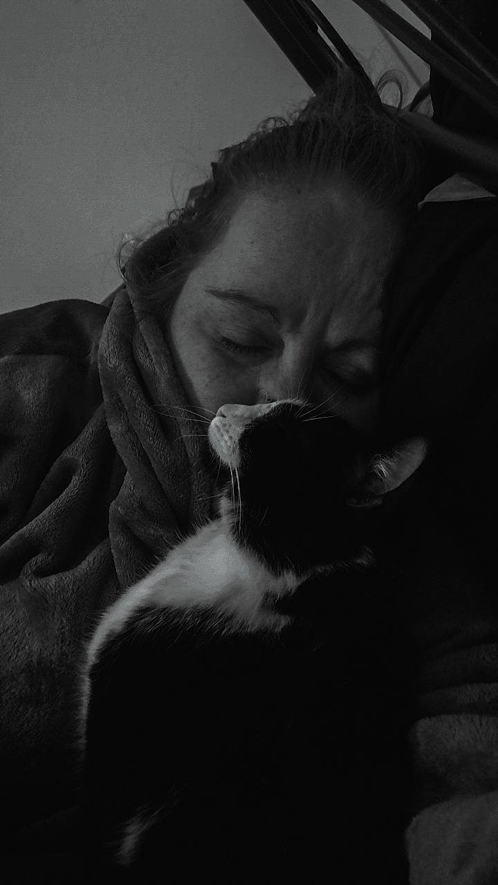 Joy participe au concours pour gagner de l'argent avec cette photo : beard, cat, cloud, comfort, darkness, ear, eyelash, facial_hair, felidae, flash_photography, fur, gesture, grey, happy, long_hair, monochrome, monochrome_photography, moustache, small_to_medium_sized_cats, whiskers