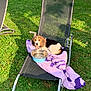 dog, puppy, beagle, chair, towel, water_bowl, outdoor, grass, sunlight, pet, leash, metal_frame, relaxing, summer, nature, animal, cute, canine, resting, garden
