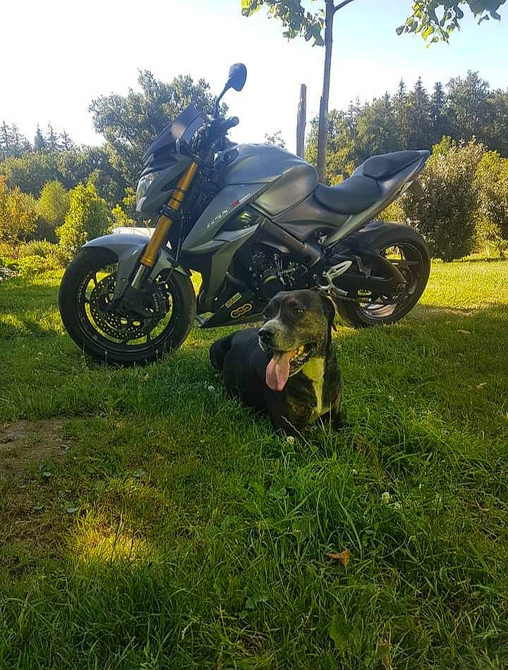 Kawa a rejoint le concours — aidez-le/la à gagner de superbes lots ! alloy_wheel, automotive_exhaust, automotive_exterior, automotive_lighting, automotive_tire, fender, fuel_tank, grass, grassland, motor_vehicle, motorcycle, plant, rim, rolling, sky, tire, tread, tree, vehicle, wheel