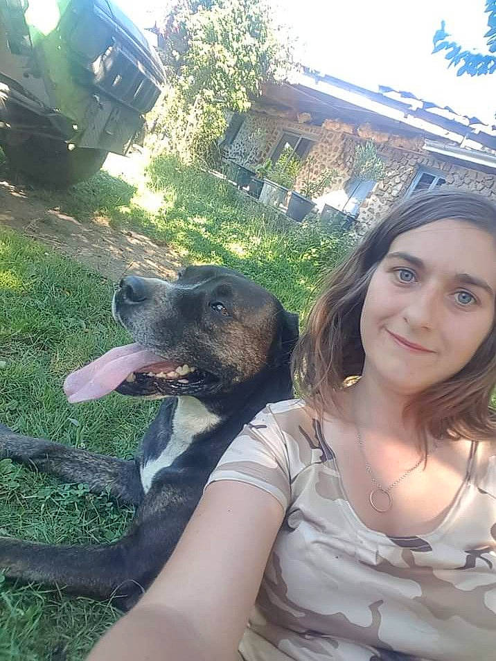 Kawa participe au concours pour gagner de l'argent avec cette photo : black_hair, carnivore, companion_dog, dog, dog_breed, eye, fawn, fur, grass, happy, jewellery, light, plant, selfie, sky, smile, summer, sunlight, wilderness, working_animal