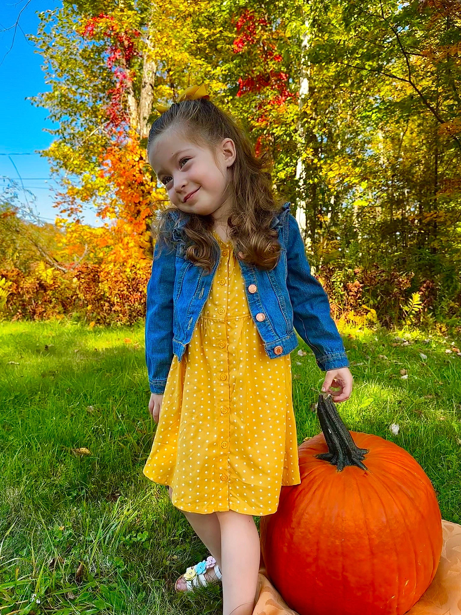 Addison is registered to the contest to win money with this photo: baby_toddler_clothing, botany, calabaza, clothing, cucurbita, facial_expression, gourd, grass, happy, joy, leaf, orange, people_in_nature, person, plant, pumpkin, smile, squash, toddler, tree
