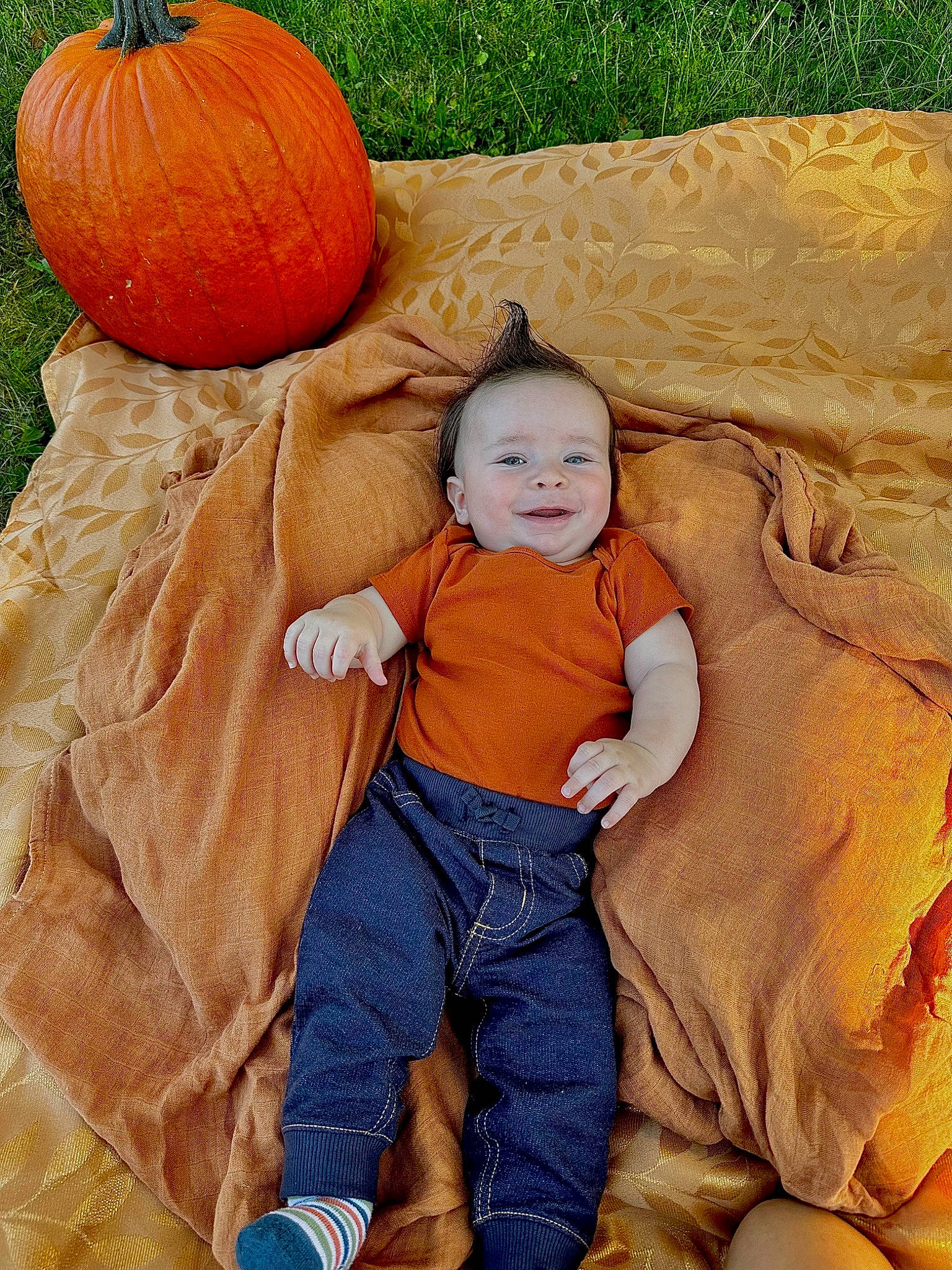 Everett joined the competition — help win amazing prizes! baby_toddler_clothing, calabaza, eye, facial_expression, gourd, grass, happy, head, human_body, natural_foods, orange, people_in_nature, person, plant, pumpkin, smile, squash, toddler, vegetable, winter_squash