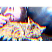 Tiger is registered to the contest to win money with this photo: person, cat, tabby_cat, sleeping, face, head, glitch_effect, distortion, closeup, indoor, couch, resting, pet, animal, eyebrows, fur, blur, colorful, digital_art, portrait