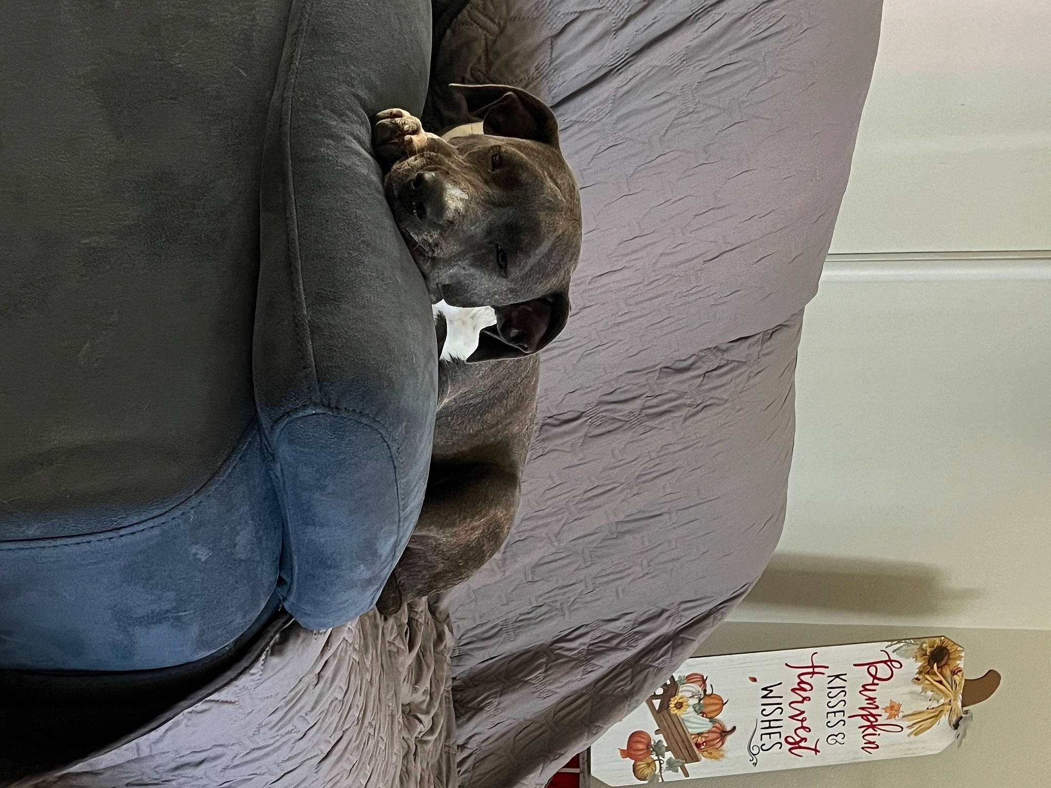 Pippi Longstocking joined the competition — help win amazing prizes! art, automotive_tire, carmine, comfort, concrete, couch, denim, elbow, flooring, foot, grey, human_leg, knee, paint, paper, plaster, rock, sculpture, white, wood