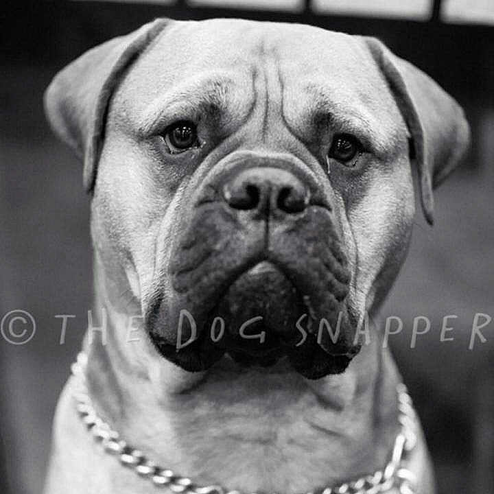 Big Red joined the competition — help win amazing prizes!