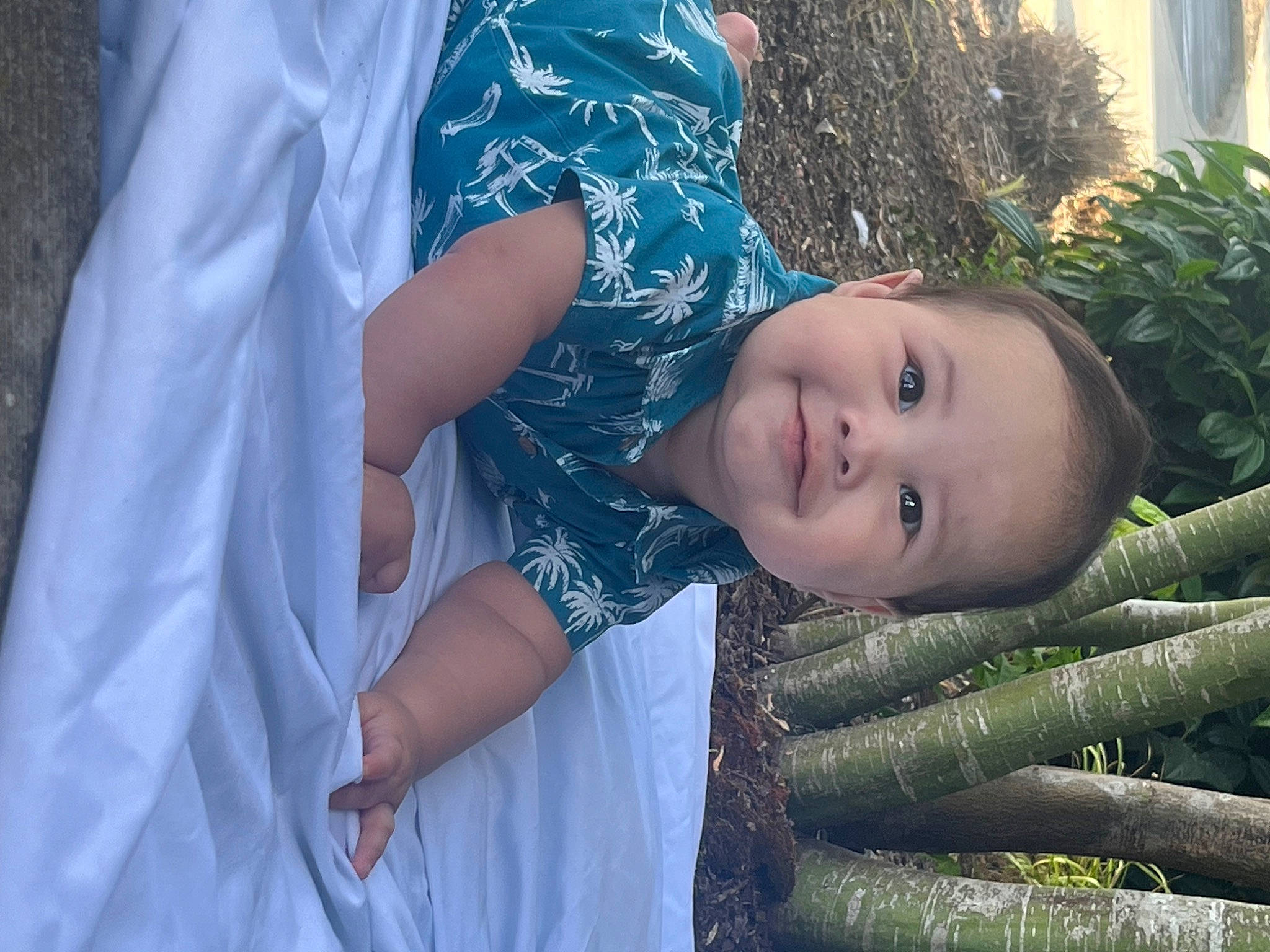 Kahekili joined the competition — help win amazing prizes! child, dress, electric_blue, flash_photography, fun, gesture, grass, happy, joy, leisure, people_in_nature, person, plant, portrait_photography, sitting, smile, toddler, tree, vacation