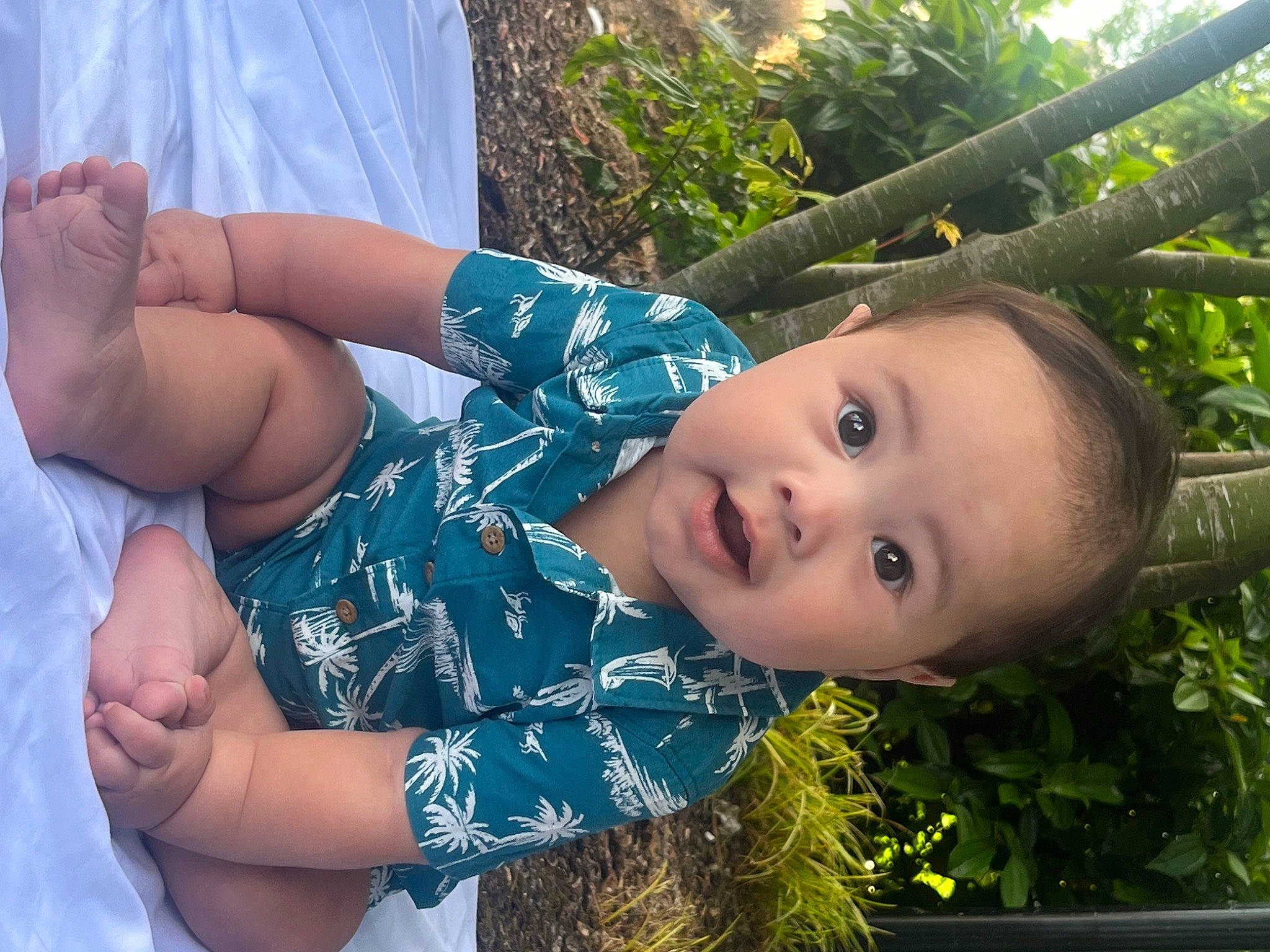 Kahekili joined the competition — help win amazing prizes! barefoot, child, elbow, fun, garden, gesture, grass, grass_family, hand, happy, leisure, mouth, nose, people_in_nature, person, plant, sitting, skin, summer, toddler