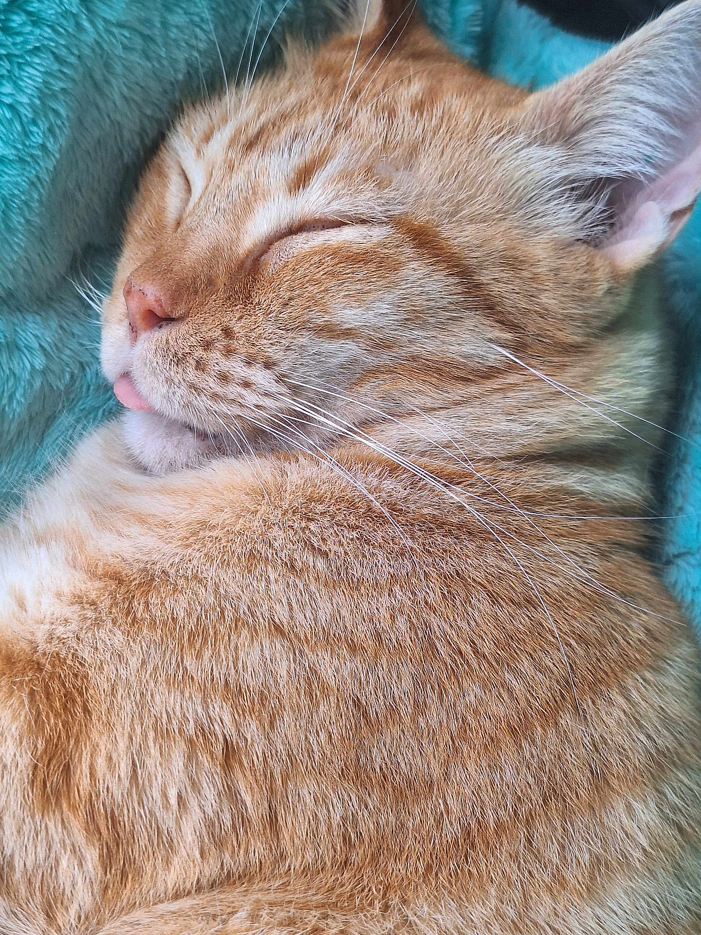 Henry