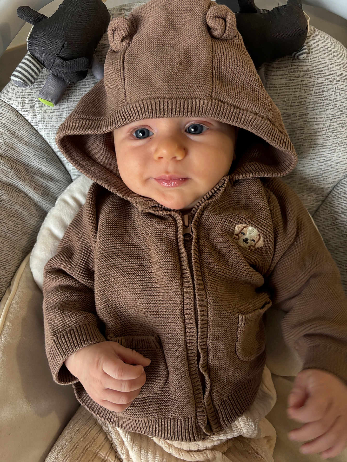 Soa a rejoint le concours — aidez-le/la à gagner de superbes lots ! baby, hoodie, brown_clothing, infant, cute, face, blue_eyes, hand, soft_toys, cushion, seated, portrait, knitted, zipper, indoor, child, expression, cozy, warm_clothing, closeup