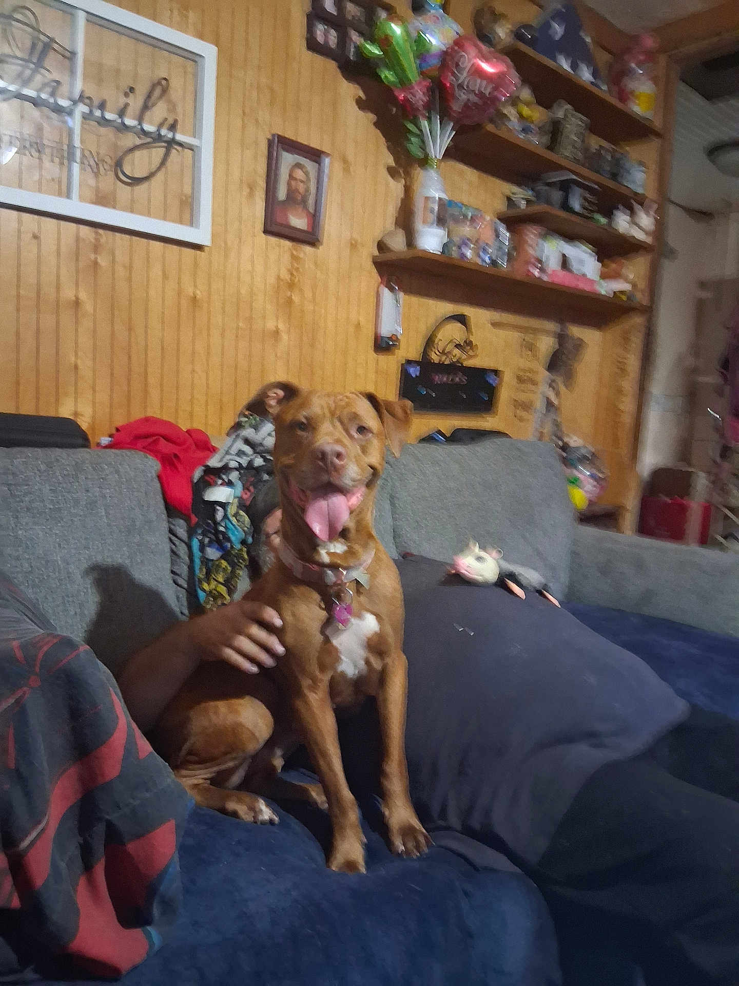 Nala