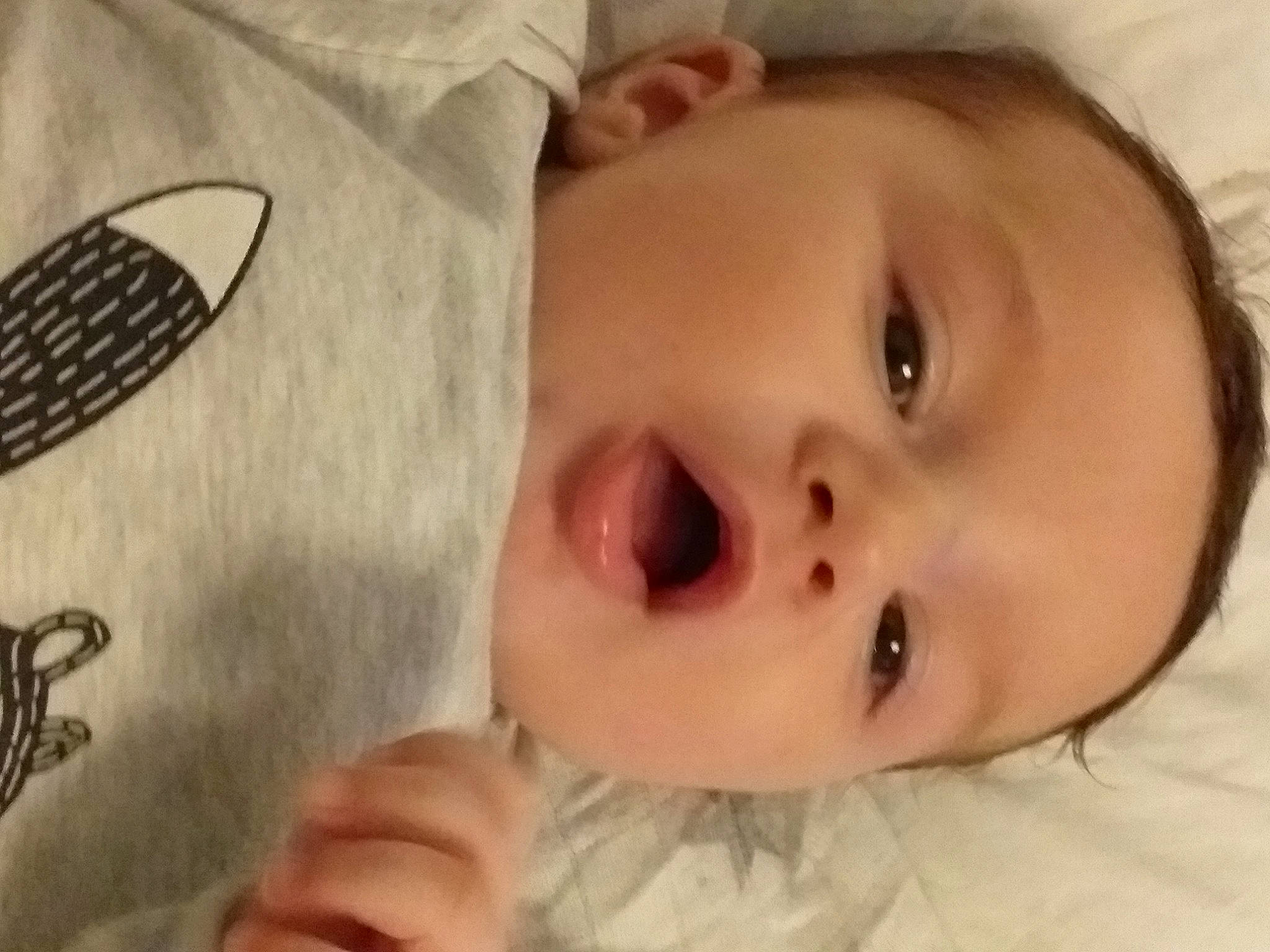 Eddy participe au concours pour gagner de l'argent avec cette photo : baby, cheek, chin, ear, eye, eyebrow, eyelash, face, facial_expression, forehead, gesture, happy, head, iris, lip, mouth, neck, nose, person, skin