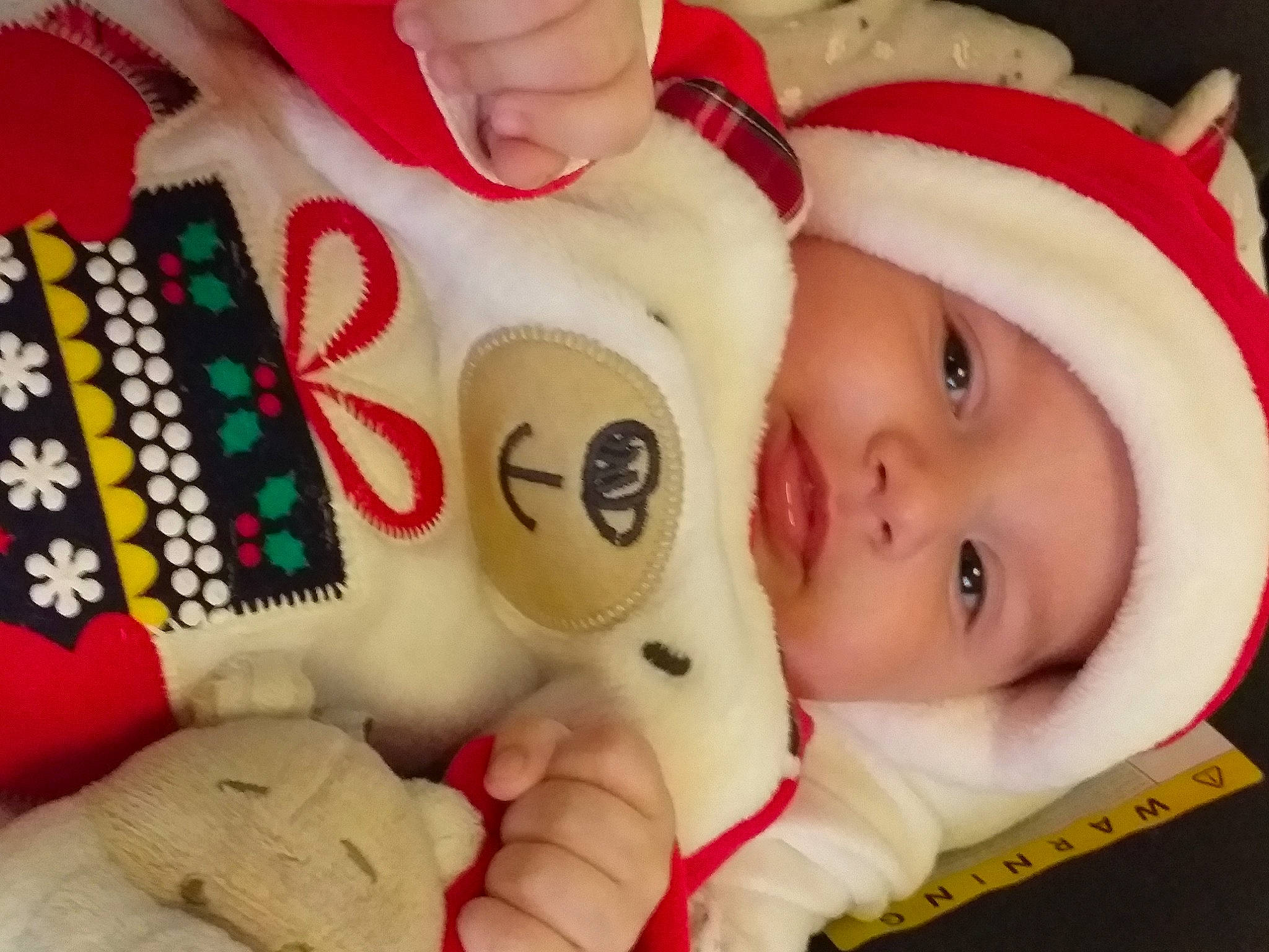 Eddy participe au concours pour gagner de l'argent avec cette photo : baby, baby_products, baby_toddler_clothing, cheek, child, eyelash, finger, hand, happy, headwear, mouth, nose, organ, person, red, skin, smile, stuffed_toy, textile, toddler