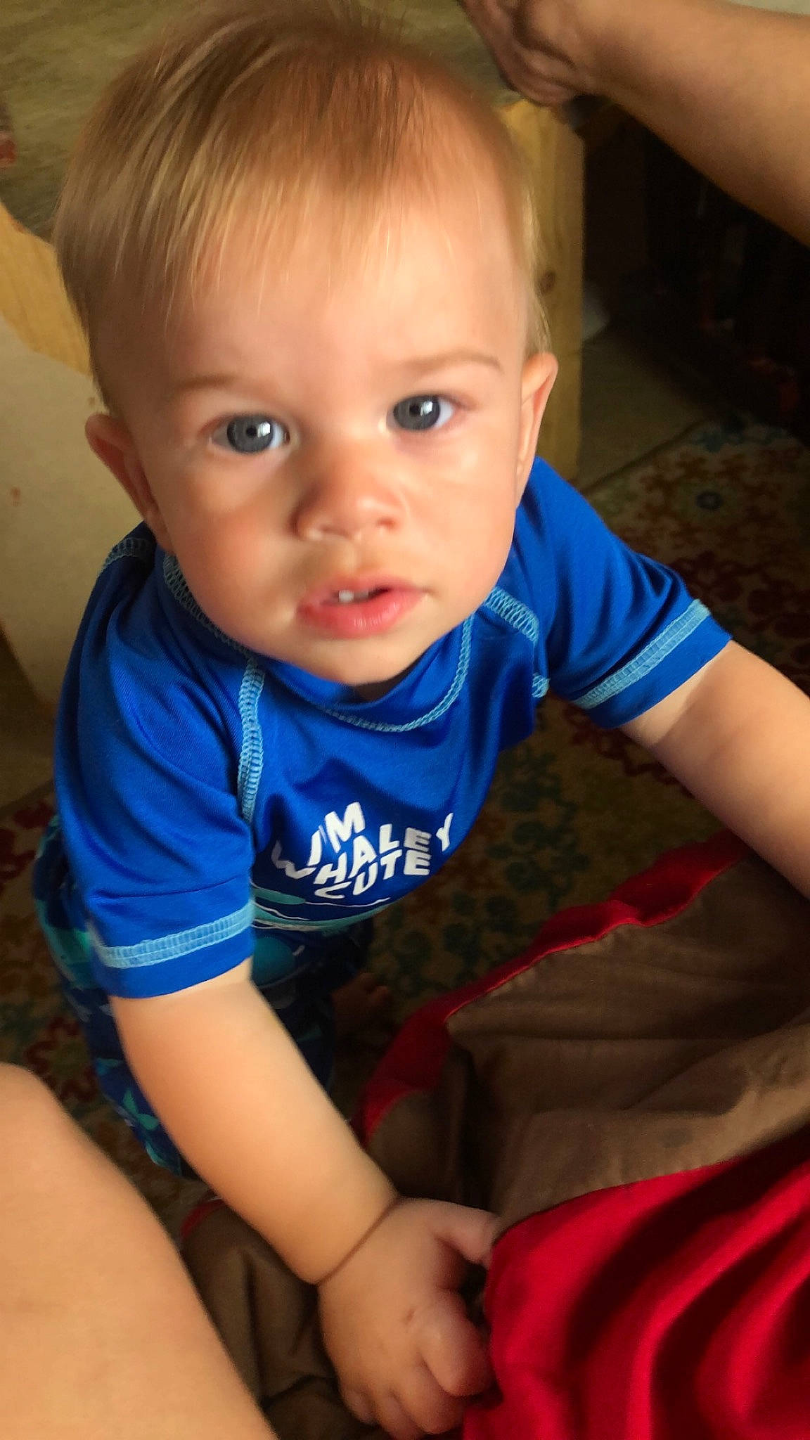 Blade is registered to the contest to win money with this photo: arm, azure, baby_toddler_clothing, cheek, chin, eye, finger, hand, head, human_body, iris, joint, leg, mouth, neck, nose, person, shoulder, skin, sleeve