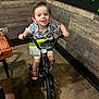 child, bike, indoor, training_wheels, wood_paneling, green_plants, flooring, happy, playful, shorts, shirt, footwear, table, chair, handlebars, toy, person, smile, young, curly_hair