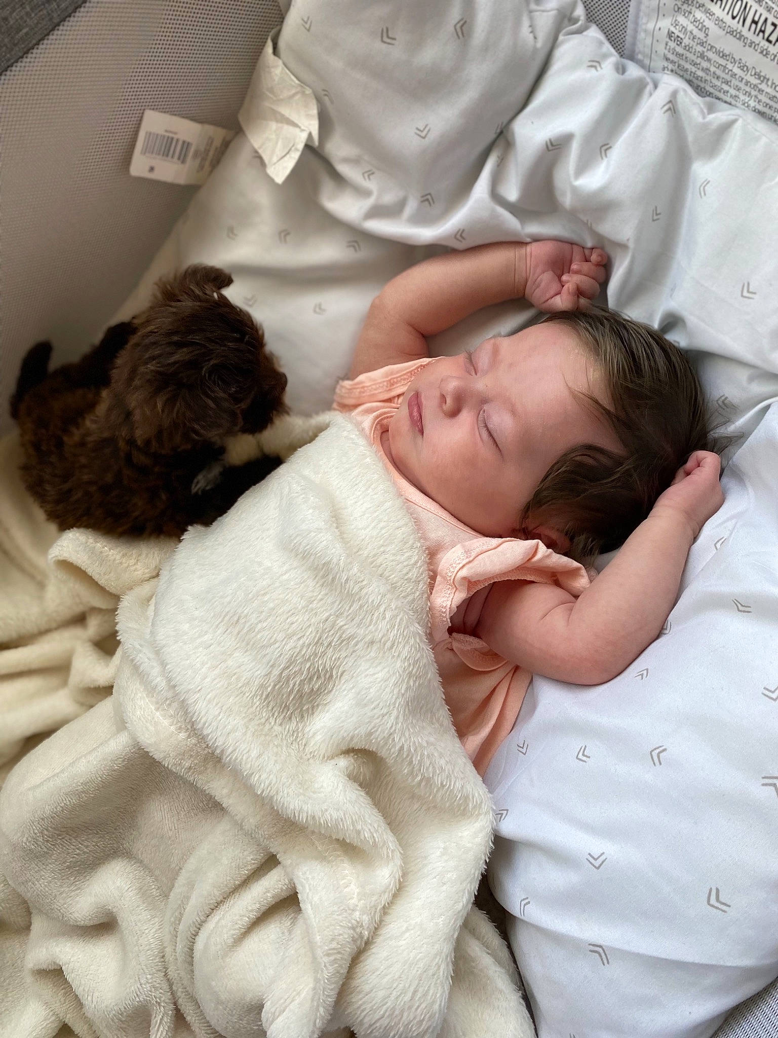 Valentina is registered to the contest to win money with this photo: baby, baby_sleeping, baby_toddler_clothing, bed, bed_sheet, bedding, bedtime, child, comfort, event, fur, happy, linens, nap, person, room, skin, sleep, smile, textile