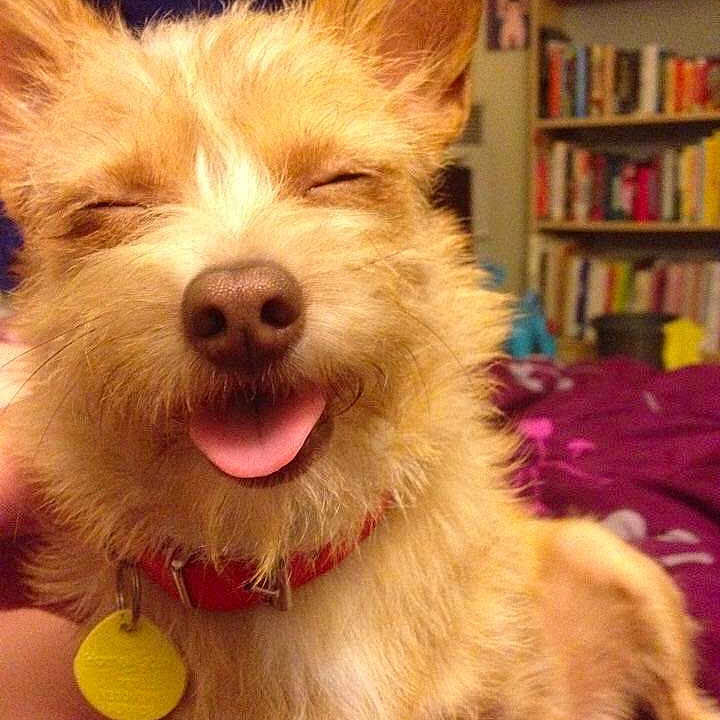 Roon joined the competition — help win amazing prizes!