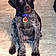 Gunner
