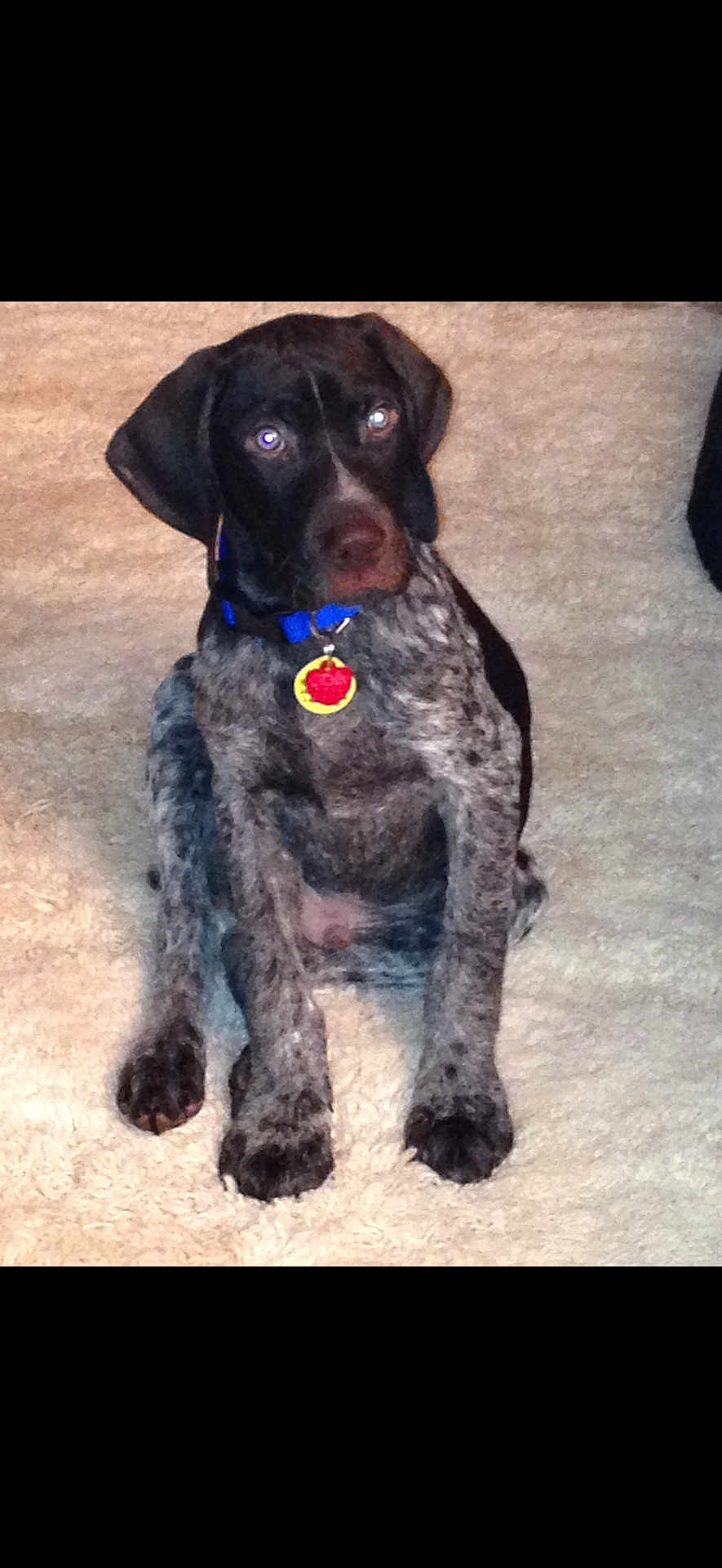 Gunner