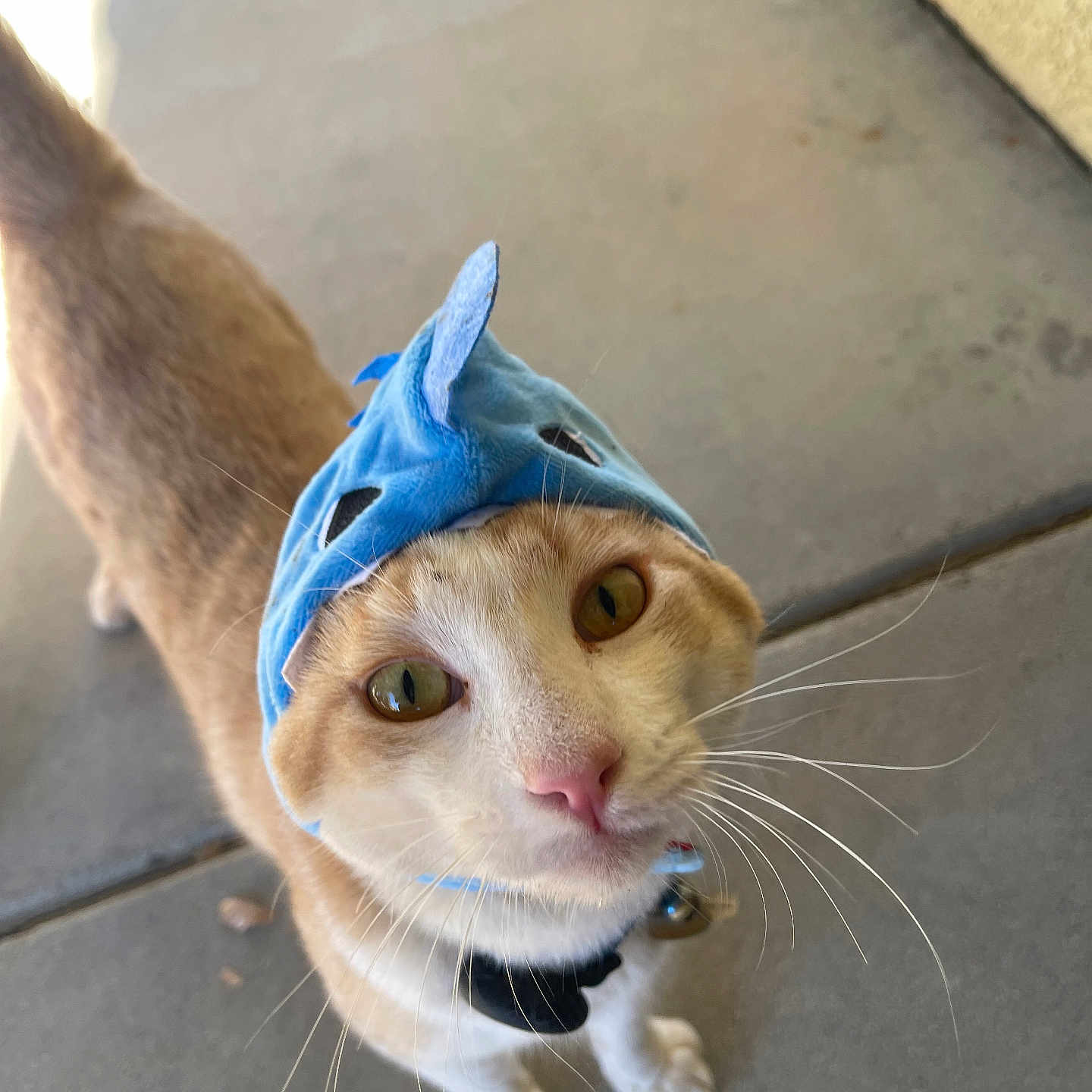 Milo