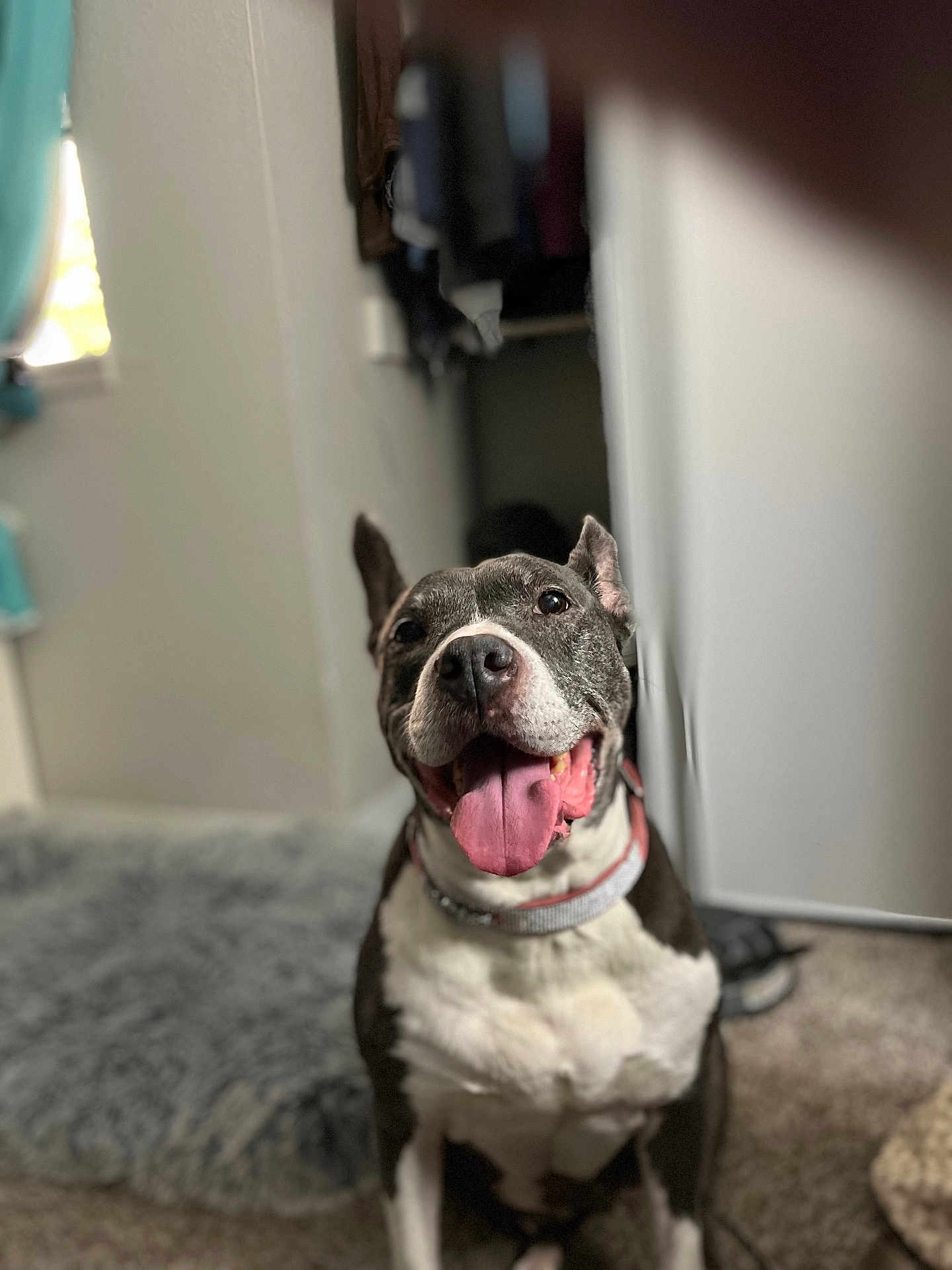 Macy