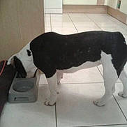 Jaïzy a rejoint le concours — aidez-le/la à gagner de superbes lots !