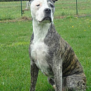 Rock participe au concours pour gagner de l'argent avec cette photo :