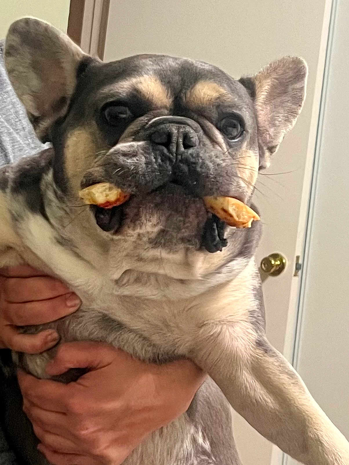 Charlie